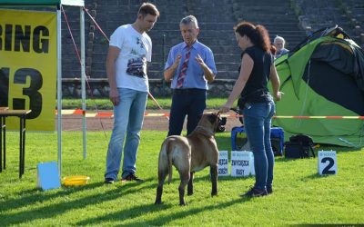 SUMMER SHOW IN BĘDZIN